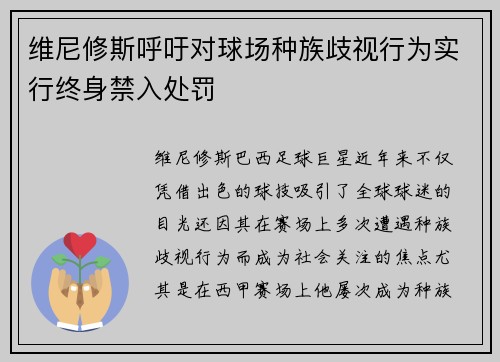 维尼修斯呼吁对球场种族歧视行为实行终身禁入处罚